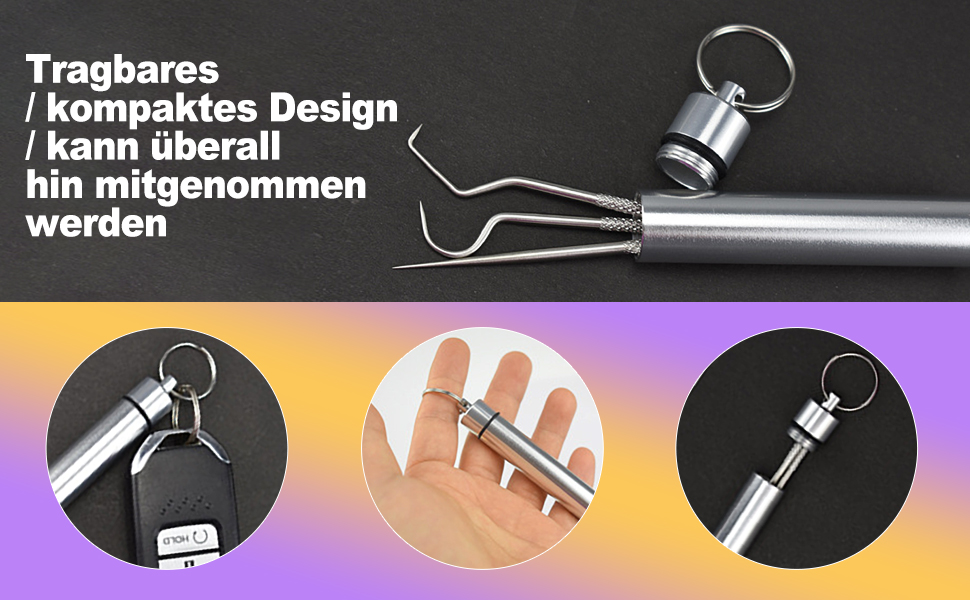 Stainless Steel Toothpick Set