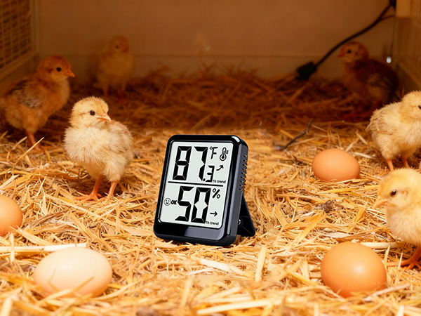 Humidity Meter Gauge