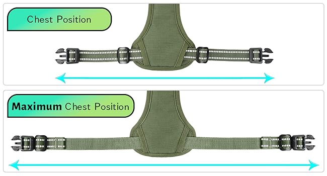 dog harness midium size dog