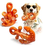 Fuufome Dog Chew Toys for Aggressive Chewers, 3 Pack Tough Nylon Dog Toys for Medium Large Adult ...