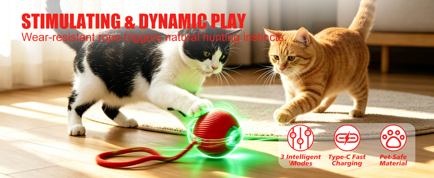 cat ball toys
