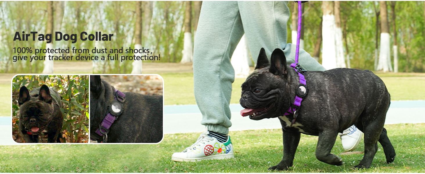 Dog Collar with AirTag Holder
