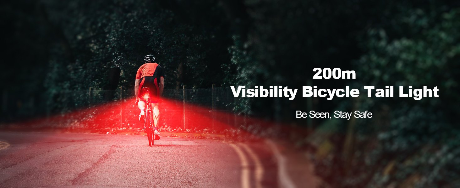 bicycle tail lights led rechargeable