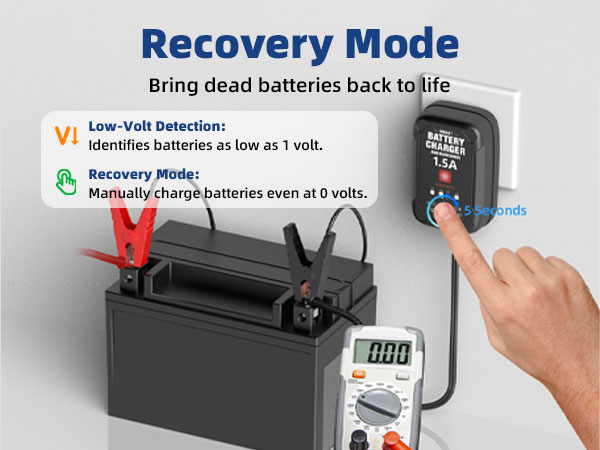 battery chargers automobile 12 volt