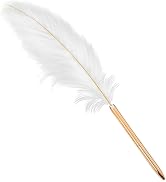 Jowxsx White Exquisite Feather Pen Metal Ballpoint Pen Refillable Ballpoint Pen Plating Pen Gift ...