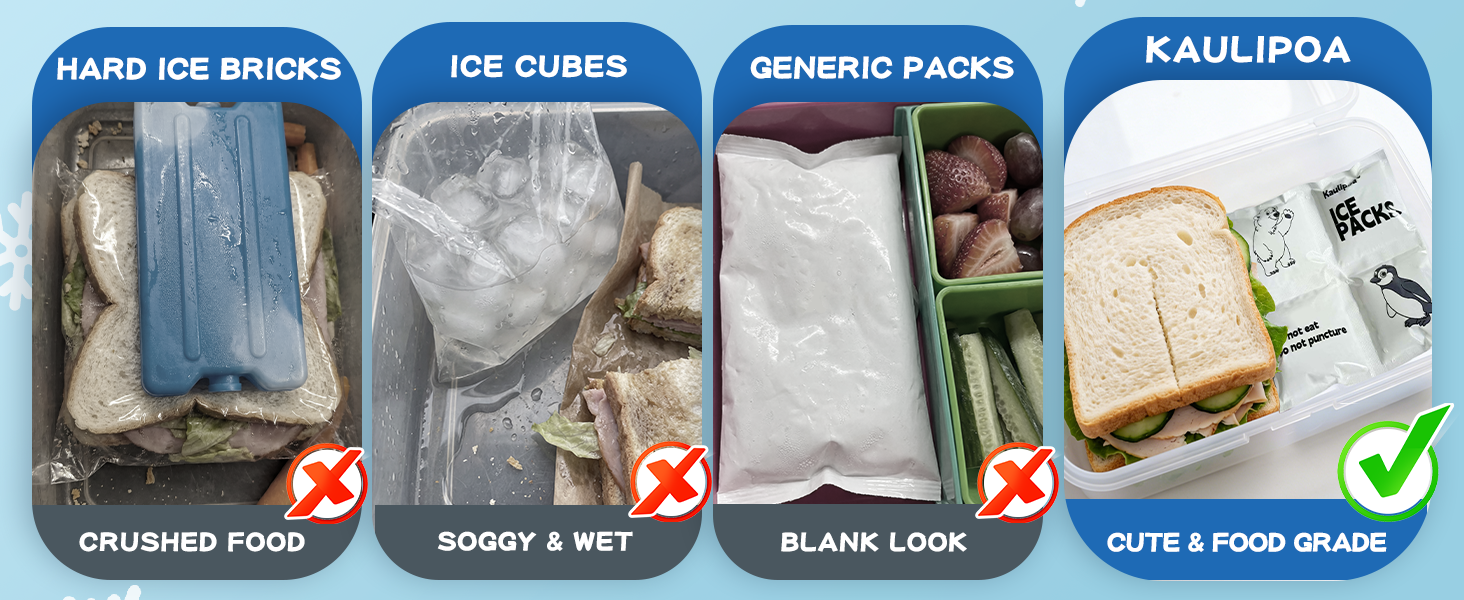 Dry ice packs