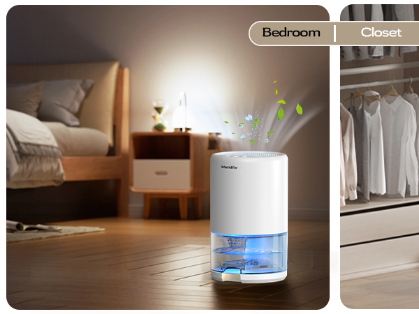 dehumidifier