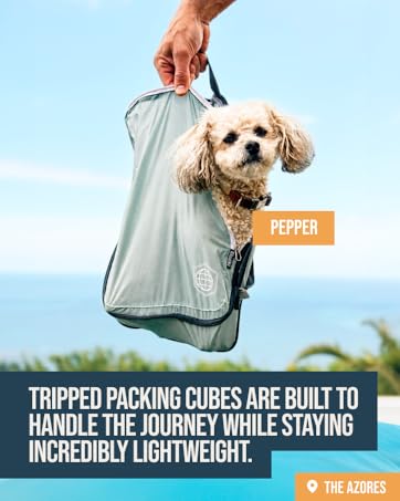 packing cubes are built to handle the journey while staying lightweight