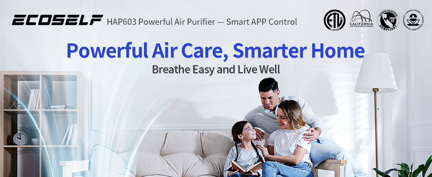 air purifier