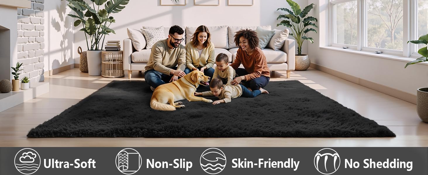 Area Rugs