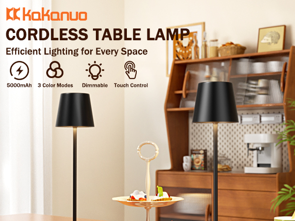 battery operated lamp