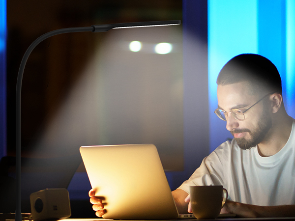 LED Desk Lamp with Clamp