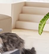 3-in-1 Pet Stairs for Cats, Dog Steps for Small Doggie,7.8'' Depth Cat Stairs,Indoor Cat Steps fo...