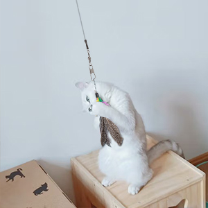 cat wand toys 2