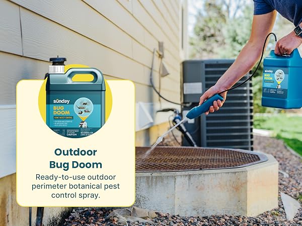Sunday outdoor Bug Doom