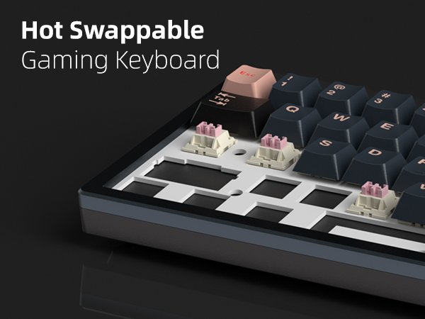 Hot-Swappable Custom Switches