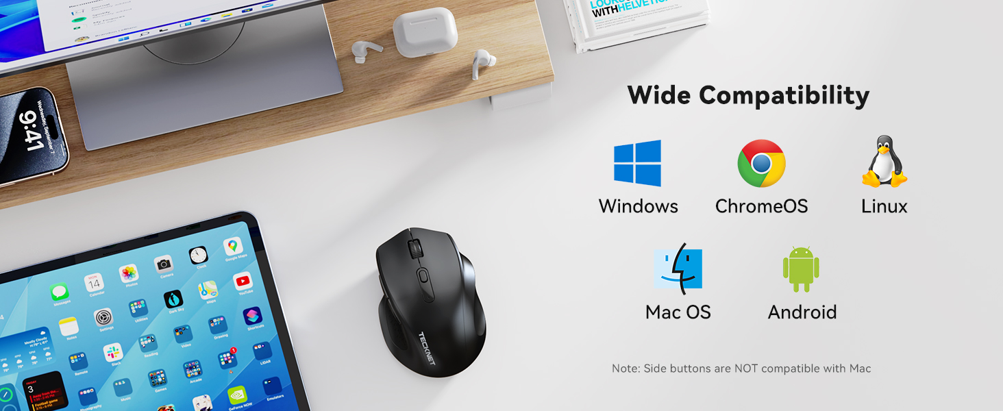 mouse
