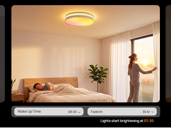 smart ceiling light