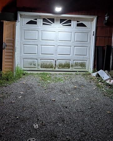 solar lights outdoor