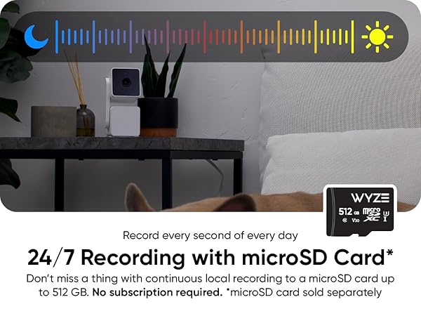 Wyze Cam Pan v3 microSD
