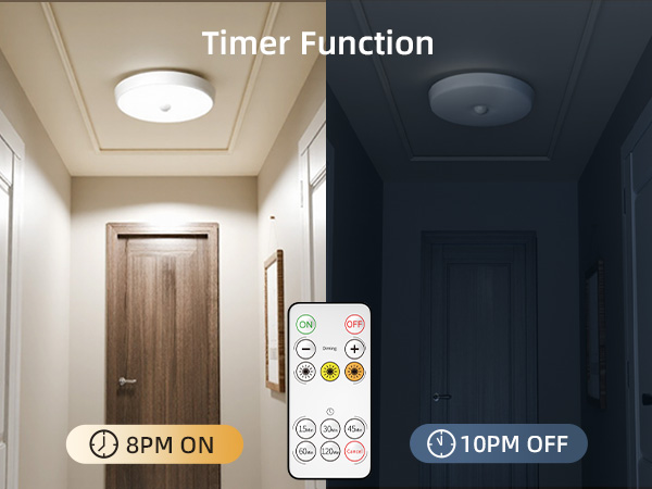 shower lights with remote
