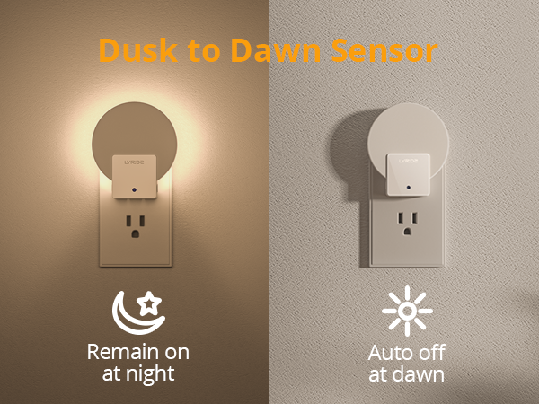 dusk to dawn sensor night light