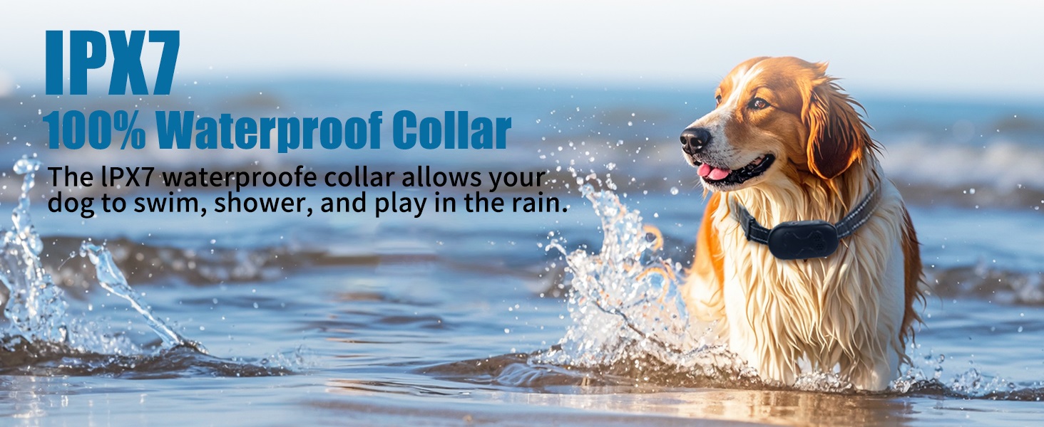 shock collar for dogs