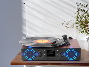 Vinyl Record Player