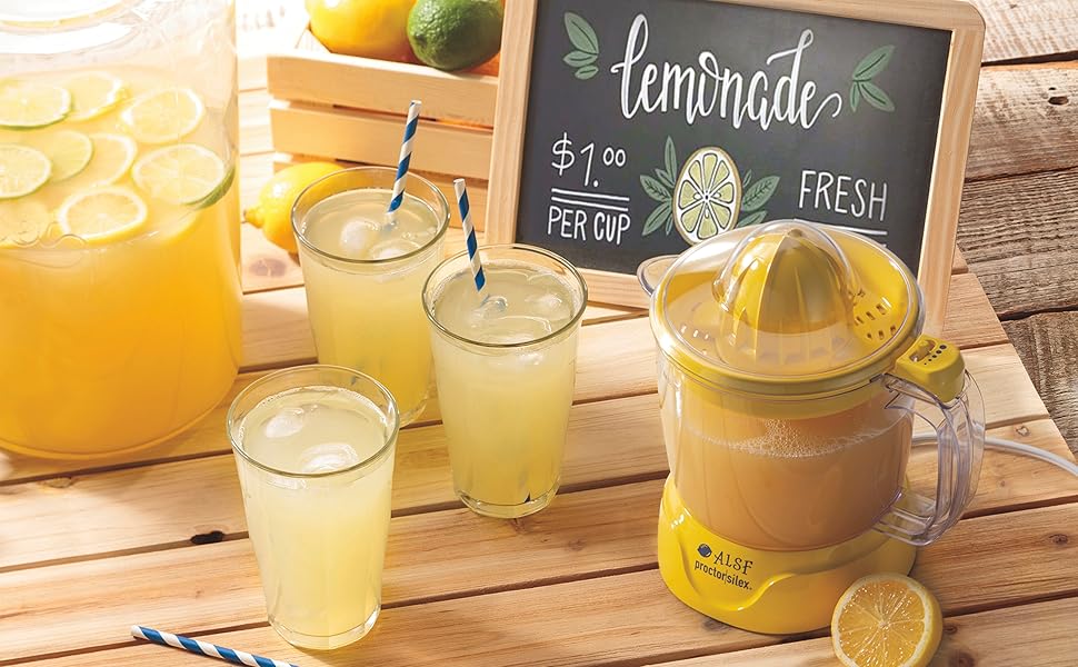 Alex&amp;#39;s Lemonade Stand