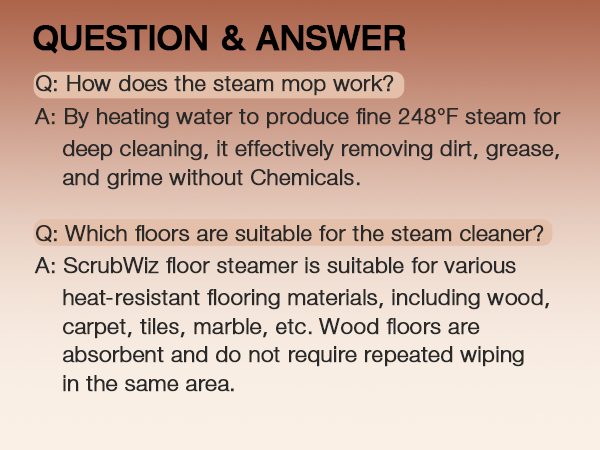steam mop