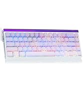 x AULA HERO 68 HE 60% Gaming Keyboard Wired, Hall Effect Mechanical Keyboard Mini with Adjustable...