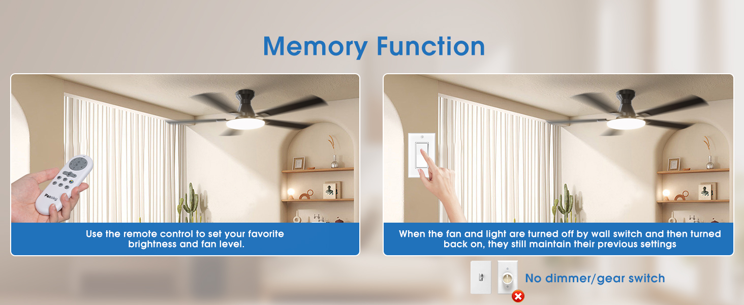 Memory function