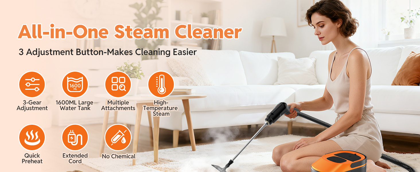 steam cleaner