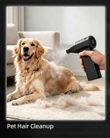 Pet Hair Cleanup