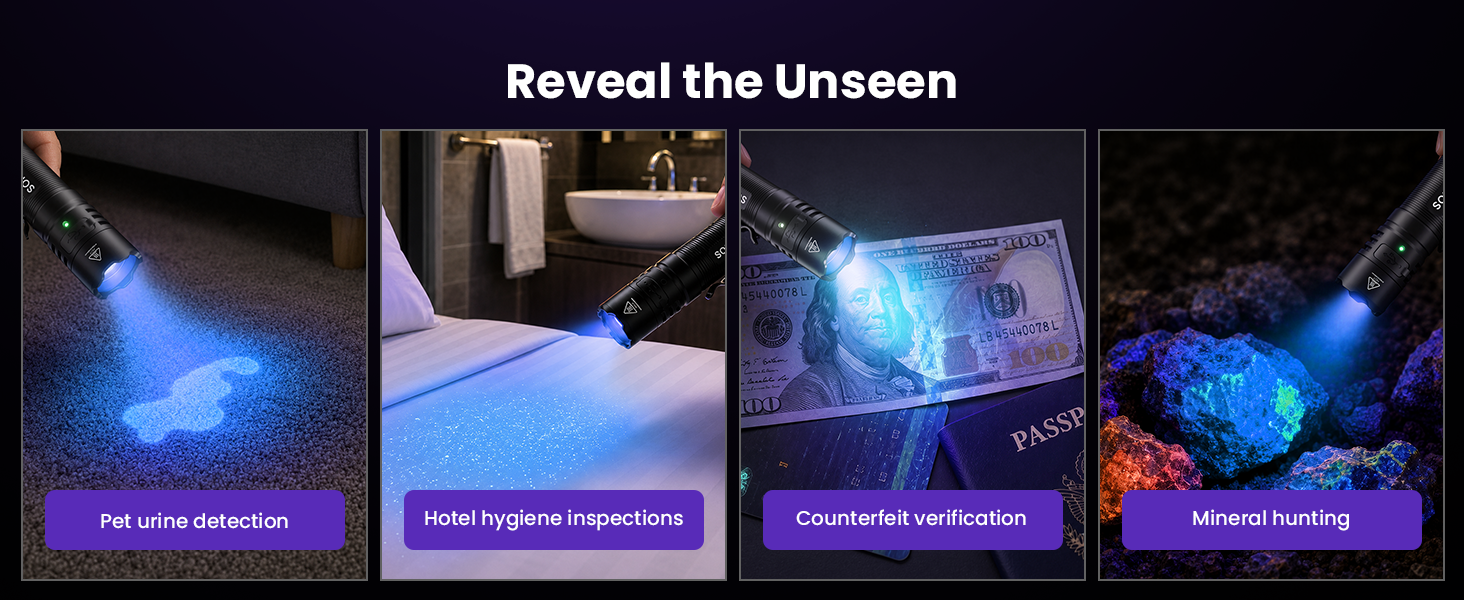 blacklight for detection inspection