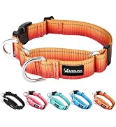 Arblina Martingale Collar for Dogs with UTX Buckle Reflective Ombre Nylon Dog Collar for No Pull ...