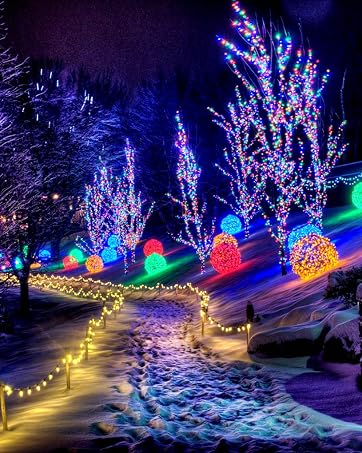christmas lights