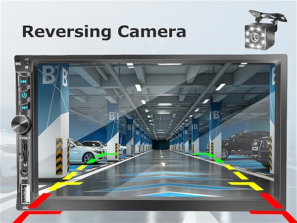 Reversing Camera Input