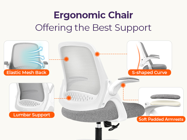 Ergonomic Chair with Comprehensive Support
