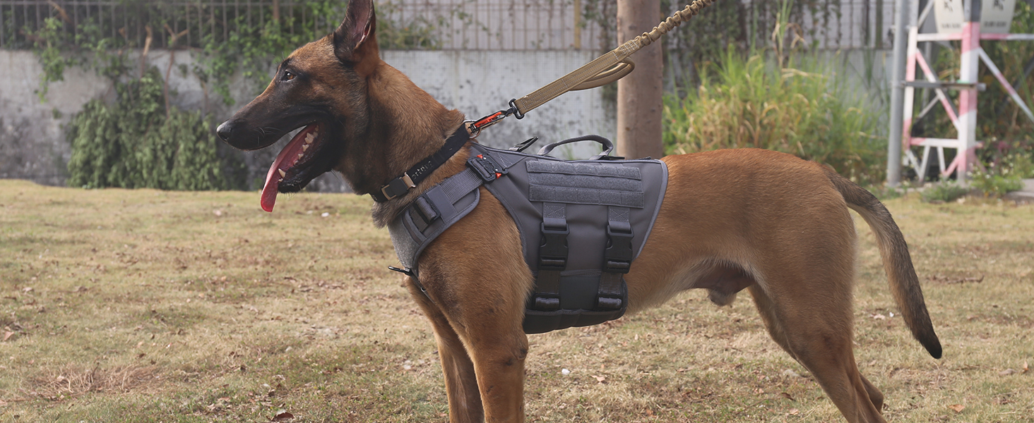 dog harness grey