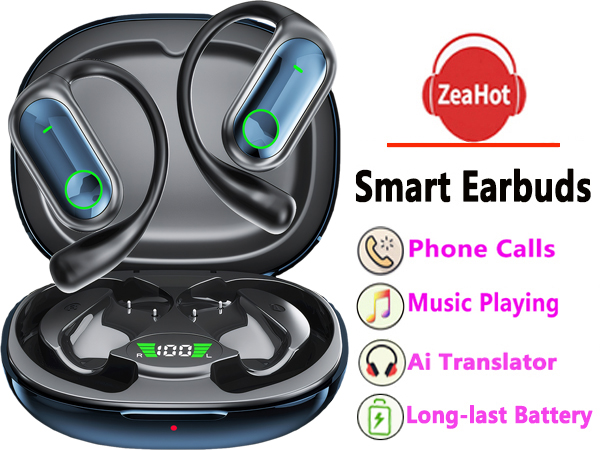 Translation ear buds
