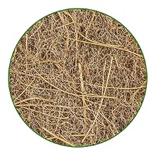 Natural Sponge Dish Sponge
