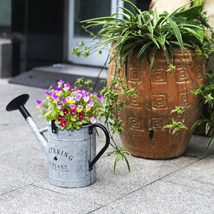 watering can