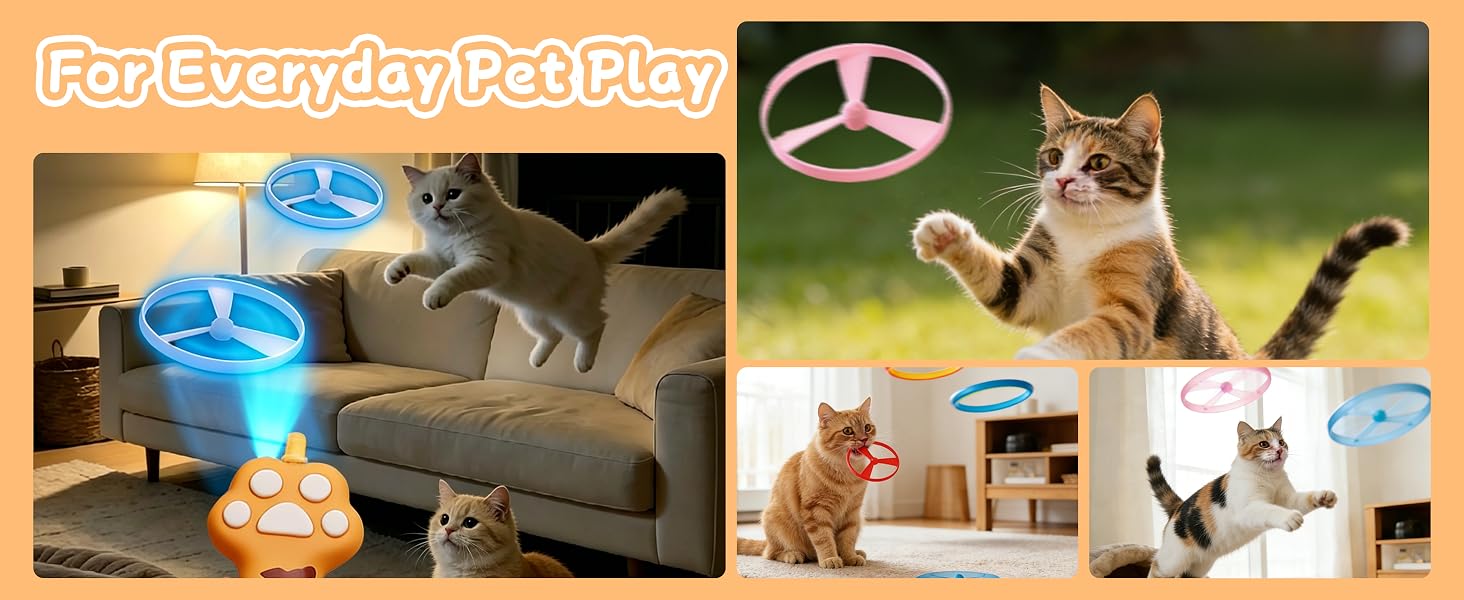Cat Interactive Hunting Game