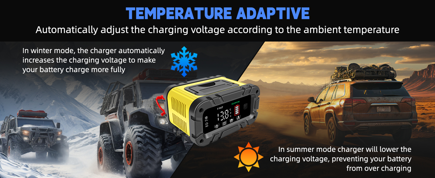 trickle charger for car battery 12v
