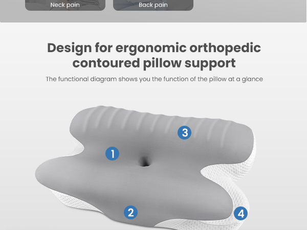 Diagram of an ergonomic orthopedic pillow with contoured design. Gray pillow shape shown with numbered areas indicating support for neck and back pain relief.