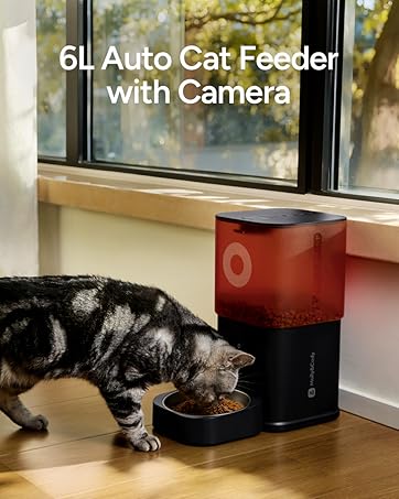 automatic cat feeder