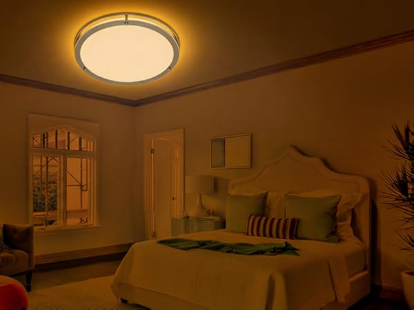 ceiling light with nightlight