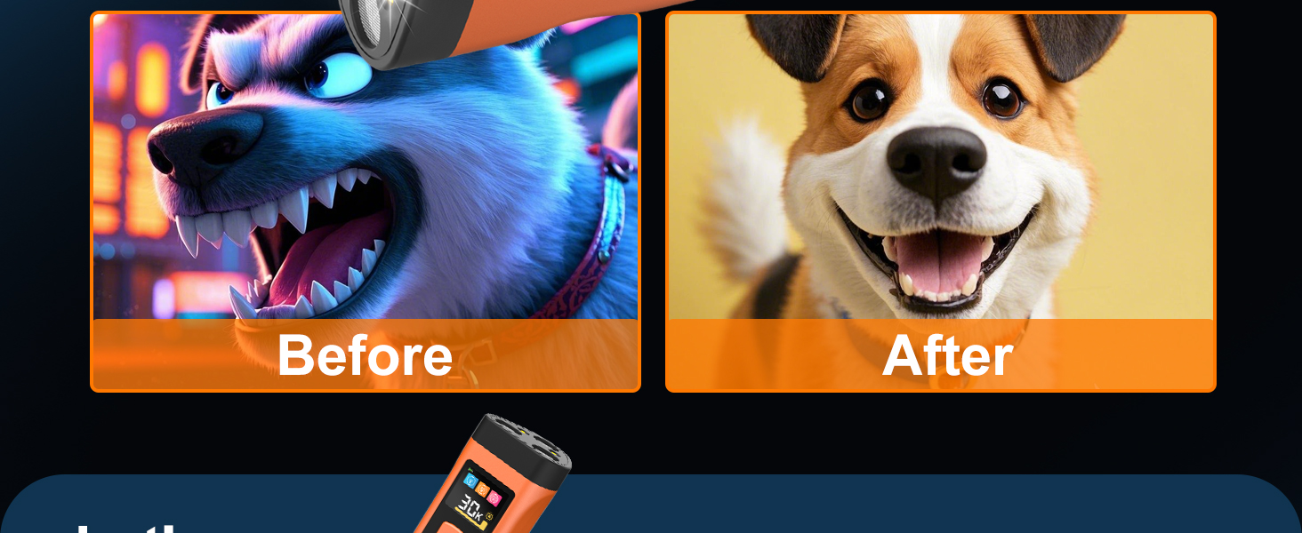 Dog Bark Deterrent Device