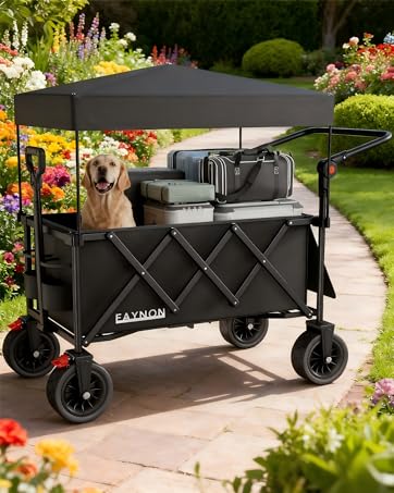wagon with canopy